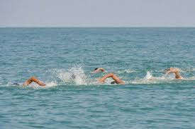 اردوی تیم ملی شنای آب‌های آزاد در جزیره کیش