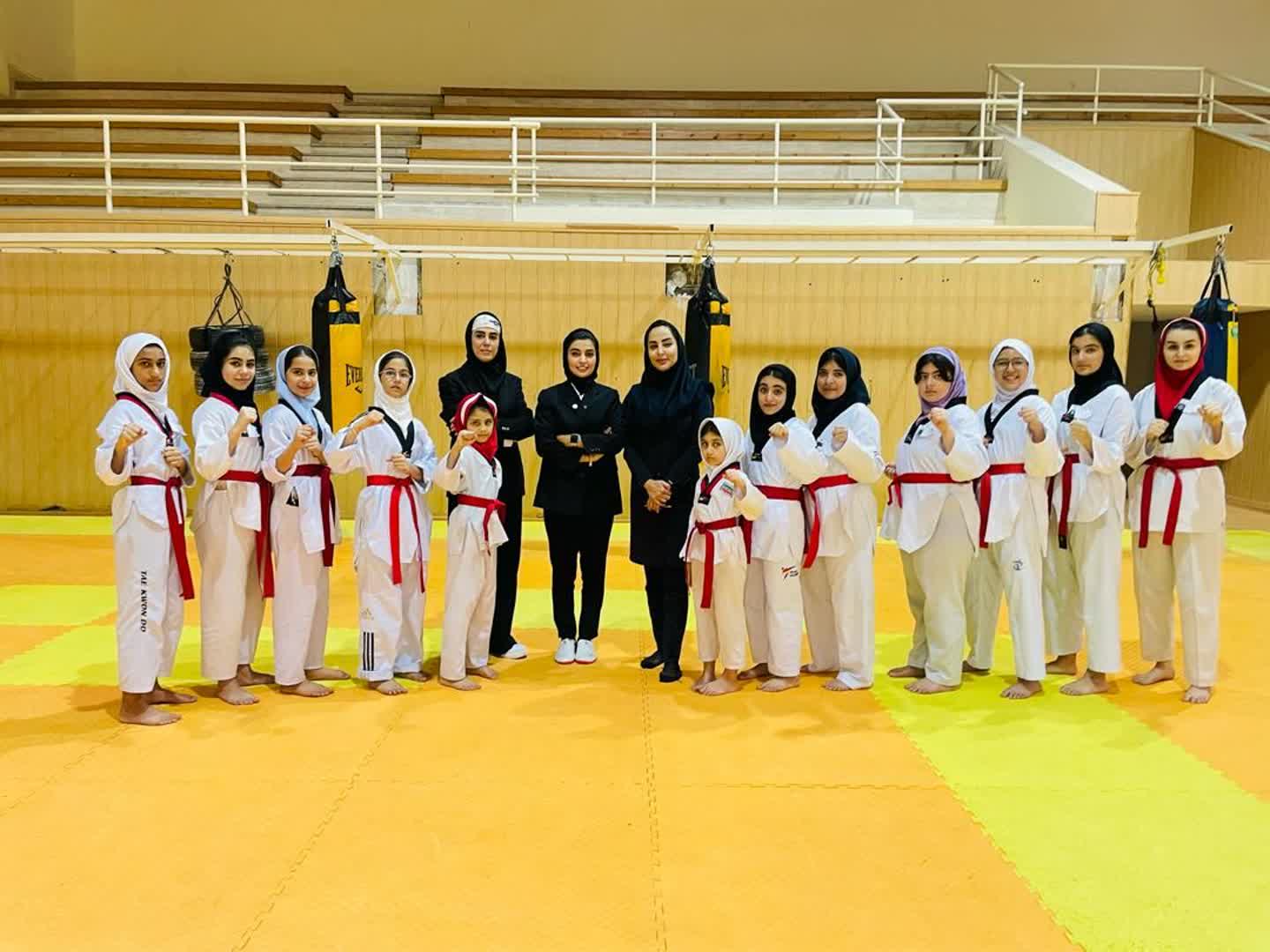 *برگزاری آزمون ارتقا کمربند تکواندو بانوان‌به میزبانی جزیره کیش*